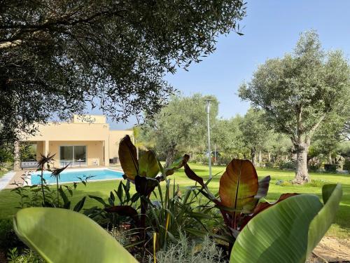 Resort Natura & Relax – Photos 4
