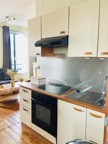 La cuisine est équipée de placards blancs et d'un four avec plaques de cuisson noires. dans l'établissement appartement cocooning,proche centre et gare, à Caen