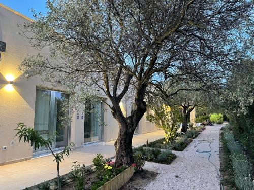 Resort Natura & Relax – Photos 2