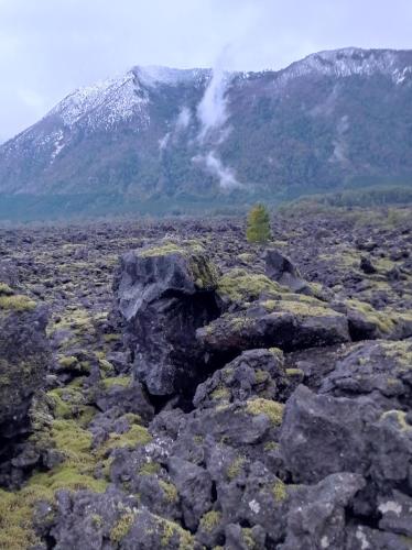 a rocky field with a snow covered mountain in the background at Cabaña Kiñeco in Melipeuco