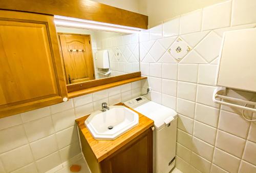 a small bathroom with a sink and a washer at SkiMottaret in Méribel