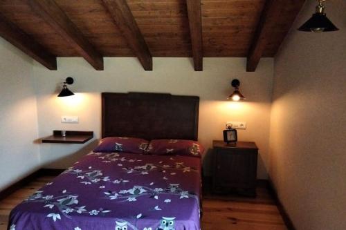 sypialnia z fioletowym łóżkiem i 2 światłami w obiekcie Lobetios - Casa rural w mieście Parada de Achas