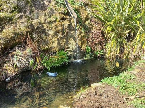 Parada de Achas的住宿－Lobetios - Casa rural，岩石壁旁的小池水