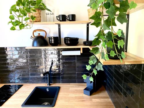una cocina con fregadero y algunas plantas en estanterías en Best Butler Jungle Suite - Central - Netflix - Big Box en Haslach