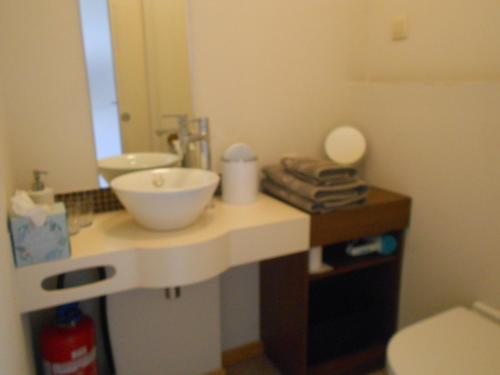 baño con encimera con lavabo y espejo en b&b Kraaiberg, en Heuvelland