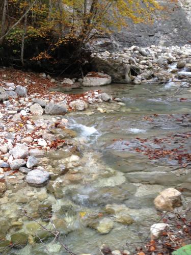 a stream of water with rocks in a river at Dachstein Bock exkl Ferienwohnung vor der Piste in Russbach am Pass Gschütt