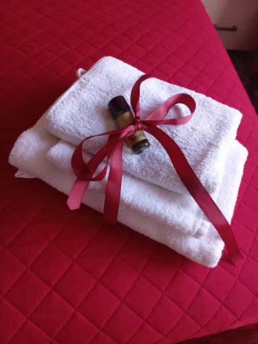 une serviette blanche avec un ruban rouge sur un lit dans l'établissement La Magnolia a 500mt dal mare, à Marina di San Vito