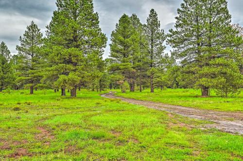 a dirt road in a field with trees at Bellemont Family Home with Hot Tub and Playground Set in Bellemont