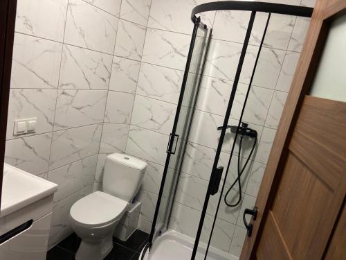 a bathroom with a toilet and a shower at Apartamenty Bezrzecze in Szczecin