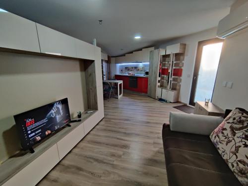een woonkamer met een bank en een flatscreen-tv bij Zen Studio Slatina in Slatina