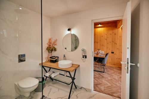 a bathroom with a toilet and a sink and a mirror at Scandinave Chalet Bran in Zărneşti