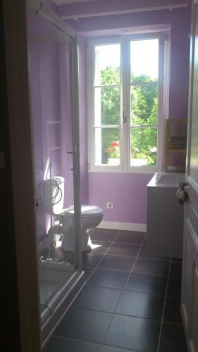 une salle de bain avec toilettes et fenêtre dans l'établissement La Maison des Renaudières, à Azay-le-Rideau