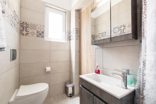 ein Bad mit einem WC, einem Waschbecken und einem Fenster in der Unterkunft Dimitra's sunny villa in Mirsinokhórion