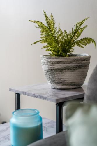 a potted plant on a table with a candle at Parke -HotTub- Apartment in Pembroke Dock