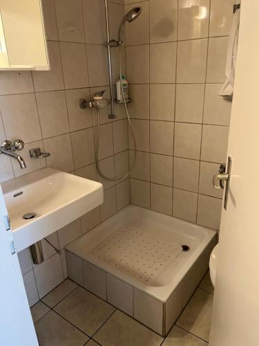 La salle de bains est pourvue d'une douche et d'un lavabo. dans l'établissement Flat Speicher St. Gallen, à Saint-Gall