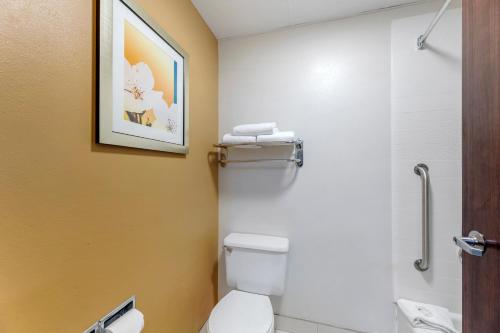 a bathroom with a toilet and a picture on the wall at Quality Inn & Suites Sandusky in Sandusky
