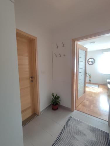 a hallway with a door and a potted plant at Apartman Buda in Lukavica