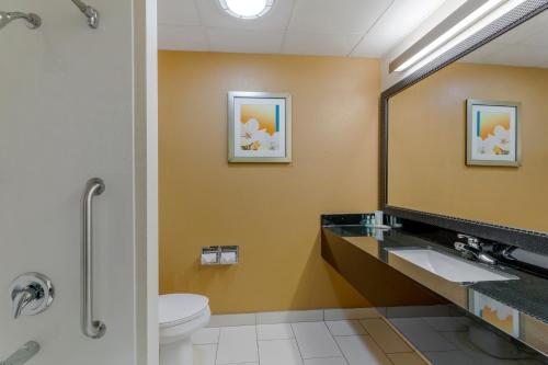 a bathroom with a toilet and a sink and a mirror at Quality Inn & Suites Sandusky in Sandusky
