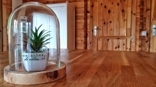 a plant in a glass dome on a wooden table at Le Chalet jacuzzi et Détente 4 Étoiles in Bagnères-de-Bigorre