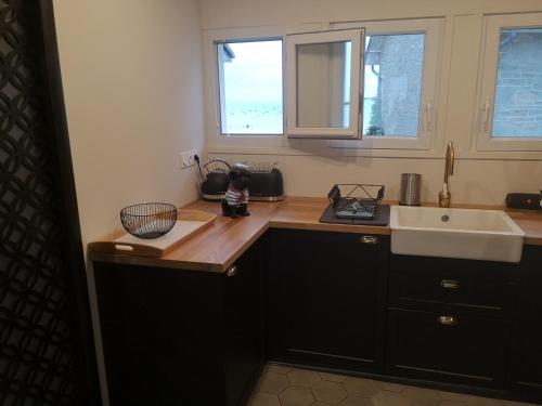 uma cozinha com um balcão e um lavatório e duas janelas em Appartement Chez Bernadette à 50m de la plage em Saint-Cast-le-Guildo