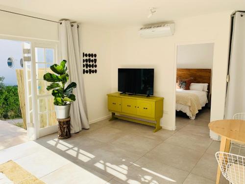 sala de estar con TV y dormitorio en BEAUTIFUL VIEW Garden Apartment en Ciudad del Cabo