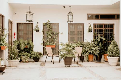 un patio con macetas en un edificio en Casa Leonardo, en Aguascalientes