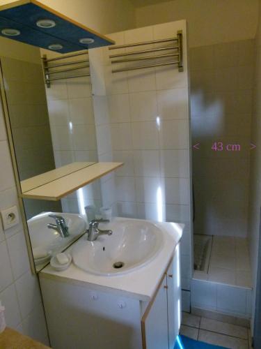 une salle de bain avec un lavabo, un miroir et une douche dans l'établissement Appartement au pied du gardon., à Remoulins