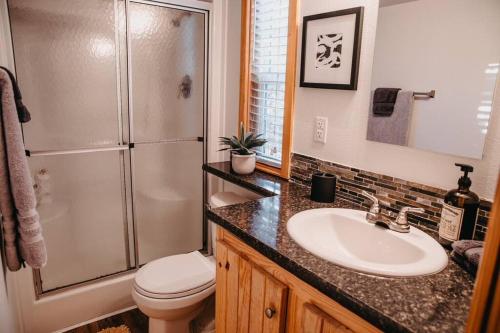 a bathroom with a sink and a shower and a toilet at The Longhorn Cabin - Cabins at Rim Rock in Austin