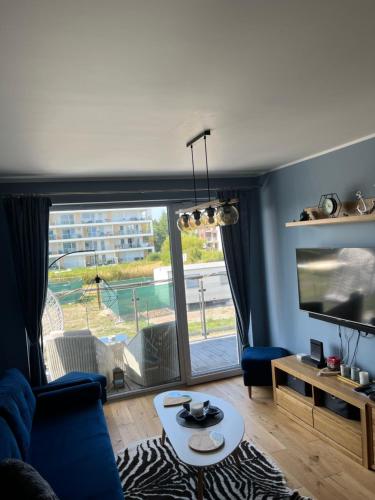 Μια τηλεόραση ή/και κέντρο ψυχαγωγίας στο Apartament Amber