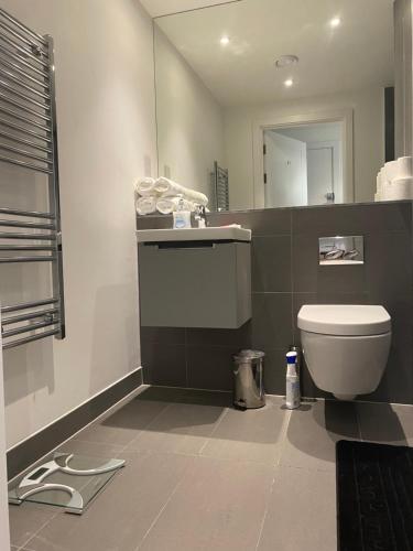 a bathroom with a toilet and a sink and a mirror at Morden 1 bedroom City- Apt Central stylish living in Croydon
