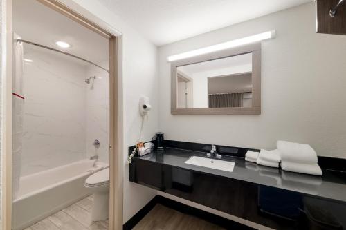 a bathroom with a sink and a toilet and a mirror at Red Roof Inn & Conference Center McKinney in McKinney