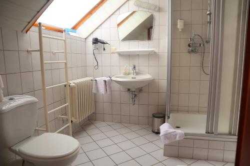 a bathroom with a toilet and a sink and a shower at Pension Zur Harburg in Uslar