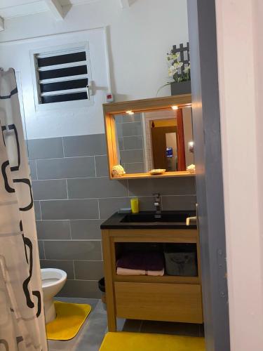 a bathroom with a sink and a toilet at Les algues de La Chapelle Bleu horizon in Anse-Bertrand