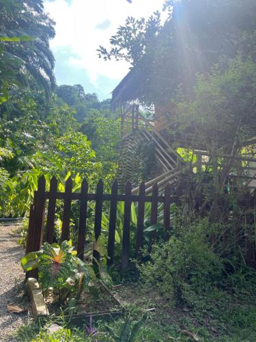 a wooden fence in a garden with the sun behind it at Orgánico Punta Riel in Cahuita