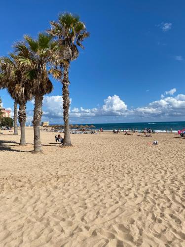 Apartament En La Sombra