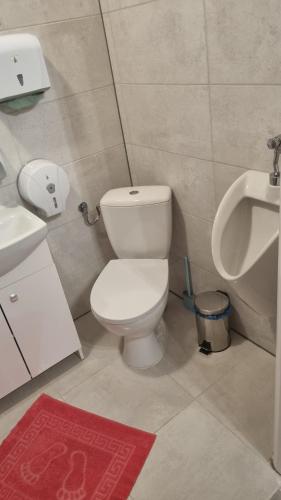 La salle de bains est pourvue de toilettes, d'un lavabo et d'un urinoir. dans l'établissement Etna 3 Dom z Parkingiem Rzeszów Morgowa, à Rzeszów
