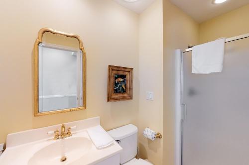 セントジョージ島にあるMoon Dreamerのバスルーム(洗面台、トイレ、鏡付)