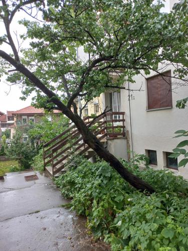 Το κτήριο όπου στεγάζεται  το διαμέρισμα