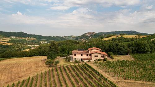 a house on a hill next to a field of vines at Tenuta Cascina Marenco in Gavi