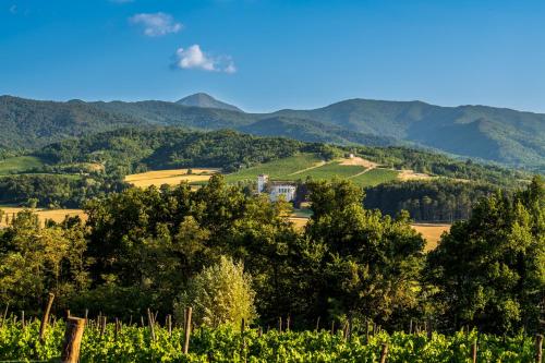 a vineyard in the mountains with a house on a hill at Tenuta Cascina Marenco in Gavi