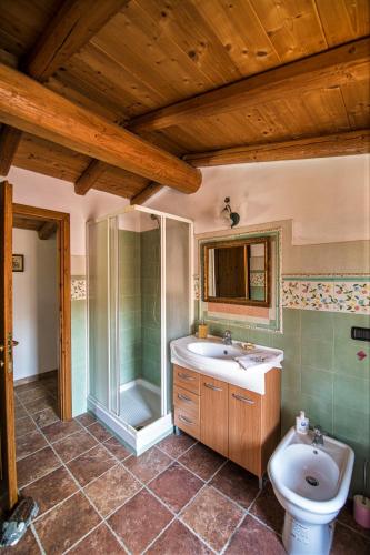 a bathroom with a shower and a sink and a toilet at Tenuta Cascina Marenco in Gavi