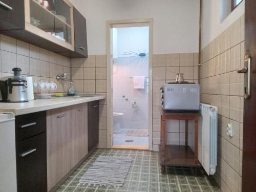 a kitchen with a sink and a shower with a shower at Apartmani Emir in Visoko