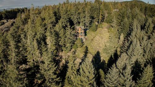 The Tiny Cabin: A Sooke Forest Retreat – Photos 2
