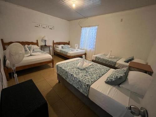 トルトゥゲーロにあるCasa Artaviaのベッドルーム1室(ベッド2台、窓付)