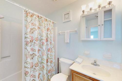 een badkamer met een toilet, een wastafel en een douche bij Driftwood in St. George Island