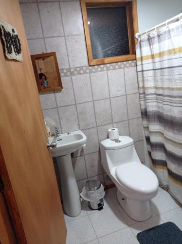 a small bathroom with a toilet and a sink at Cabaña Kiñeco y tinaja in Melipeuco