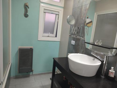 ein Badezimmer mit einem weißen Waschbecken und einem Spiegel in der Unterkunft Alem Casa de Familia in Ushuaia