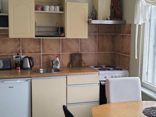 a kitchen with a sink and a stove at Tehnika 7 street apartments in Tallinn