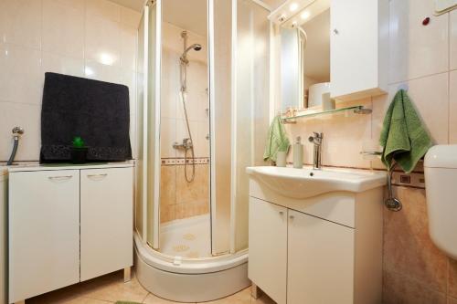 a bathroom with a shower and a sink and a toilet at Holiday home Villa Linda - big terraces in Seget Vranjica