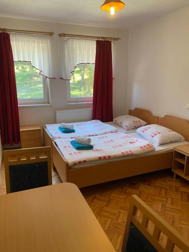 a bedroom with two beds and two windows at KMETIJA KNAVS in Nova Vas